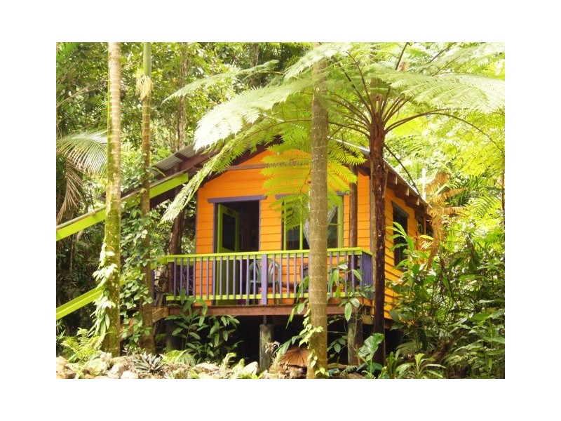 Cape Tribulation QLD 4873