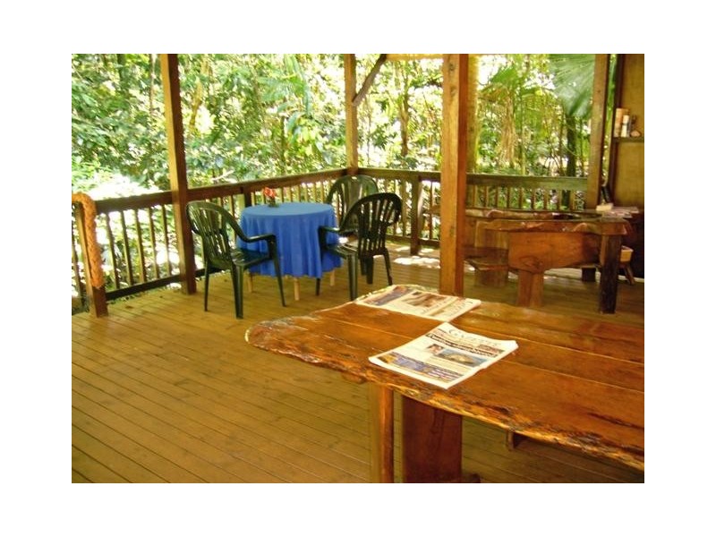 Cape Tribulation QLD 4873