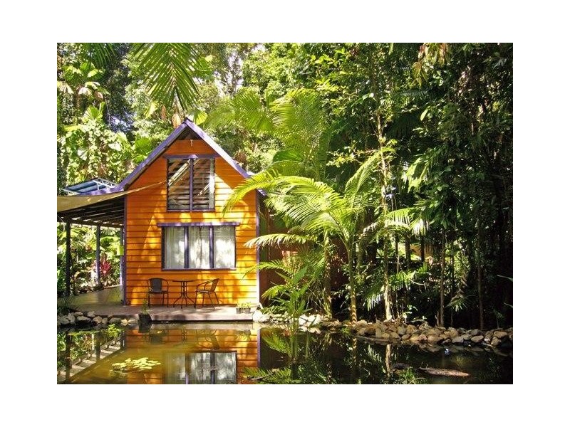 Cape Tribulation QLD 4873