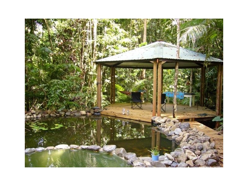 Cape Tribulation QLD 4873