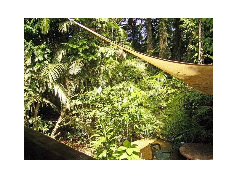 Cape Tribulation QLD 4873