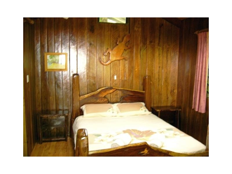 Cape Tribulation QLD 4873