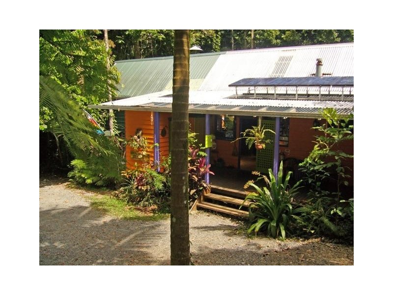 Cape Tribulation QLD 4873