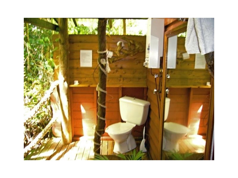 Cape Tribulation QLD 4873