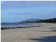 Cape Tribulation QLD 4873