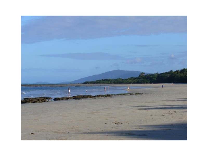 Cape Tribulation QLD 4873
