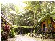 Cape Tribulation QLD 4873
