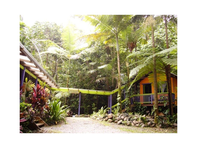 Cape Tribulation QLD 4873