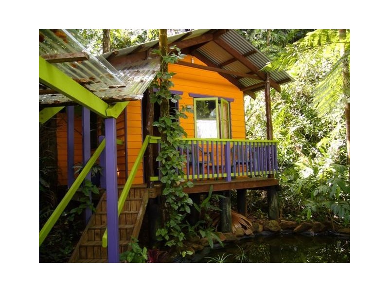 Cape Tribulation QLD 4873