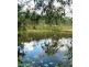 Mount Molloy QLD 4871