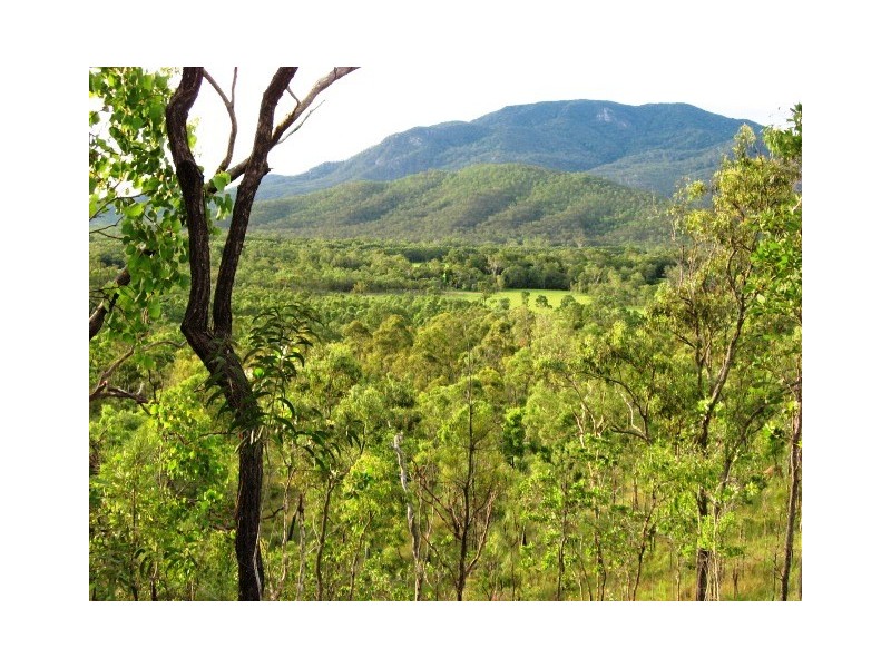 Mount Molloy QLD 4871