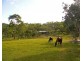 Mount Molloy QLD 4871