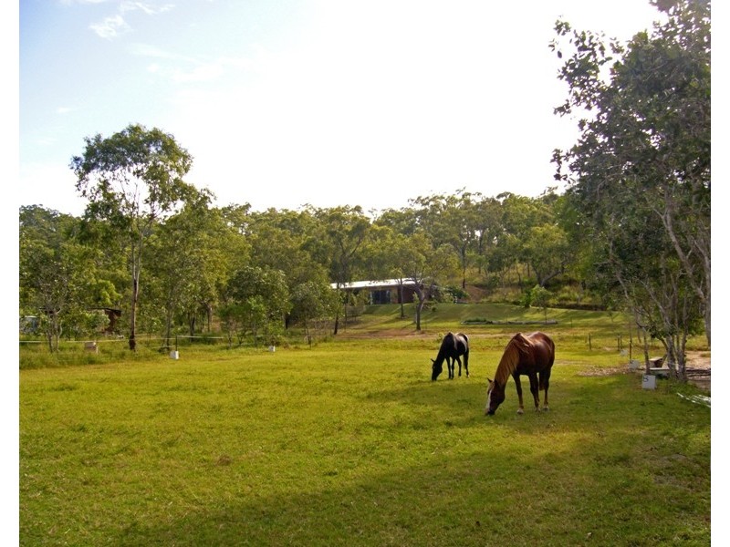 Mount Molloy QLD 4871