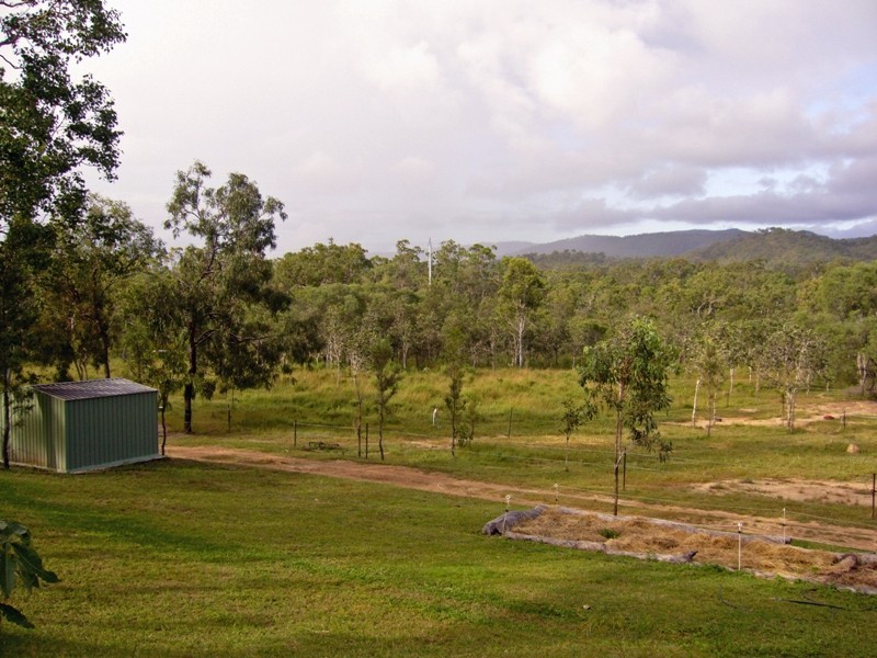 Mount Molloy QLD 4871
