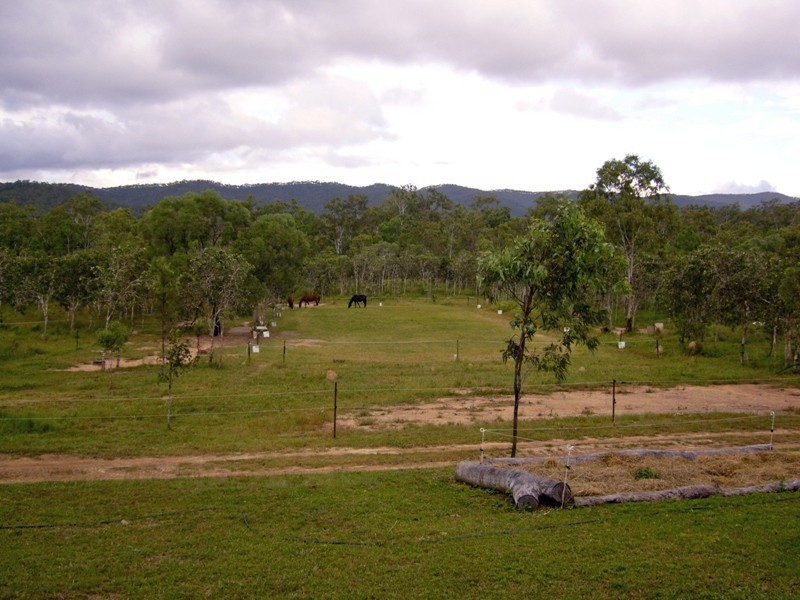 Mount Molloy QLD 4871