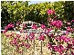 Port Douglas QLD 4877