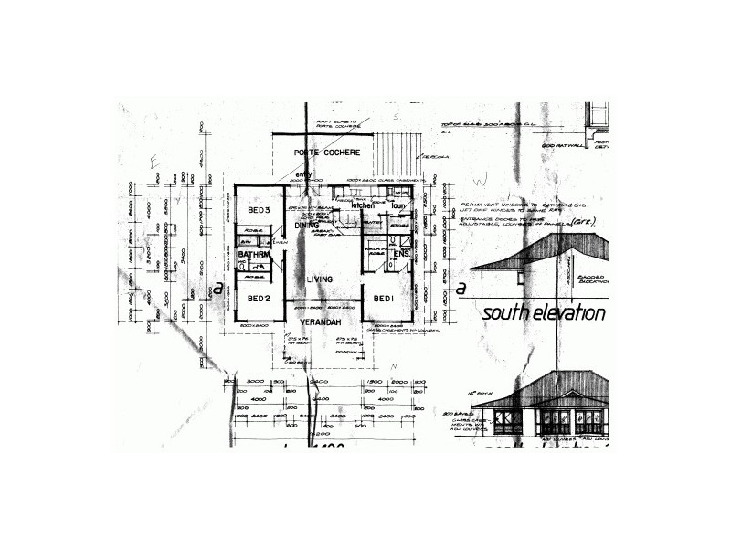 Port Douglas QLD 4877 Floorplan