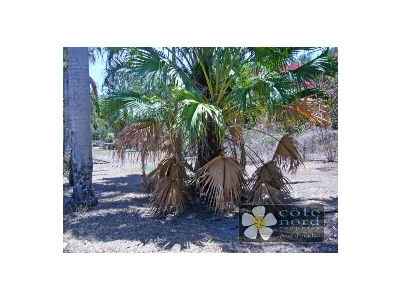 Cooya Beach QLD 4873