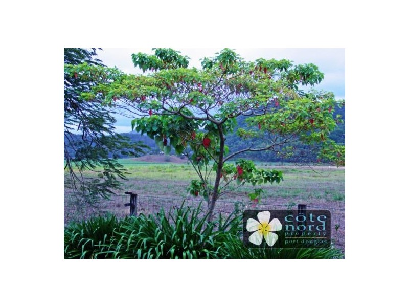 8 Shalom Close, Cooya Beach QLD 4873