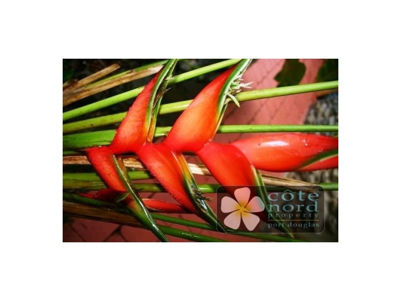 Port Douglas QLD 4877