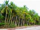 5 Sandpiper Street, Port Douglas QLD 4877