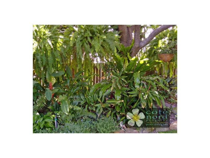 Port Douglas QLD 4877