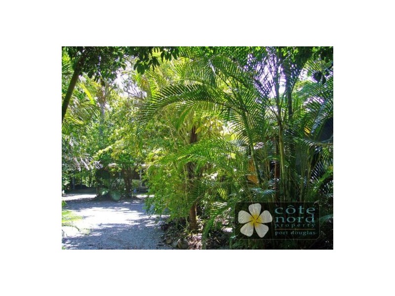 17 Stewart Street, Daintree QLD 4873