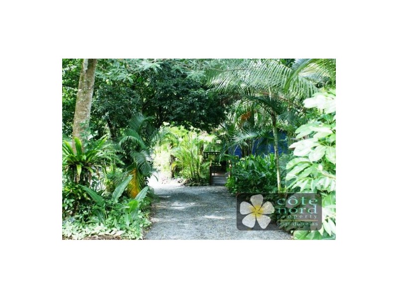 17 Stewart Street, Daintree QLD 4873