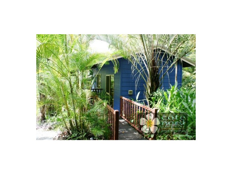 17 Stewart Street, Daintree QLD 4873