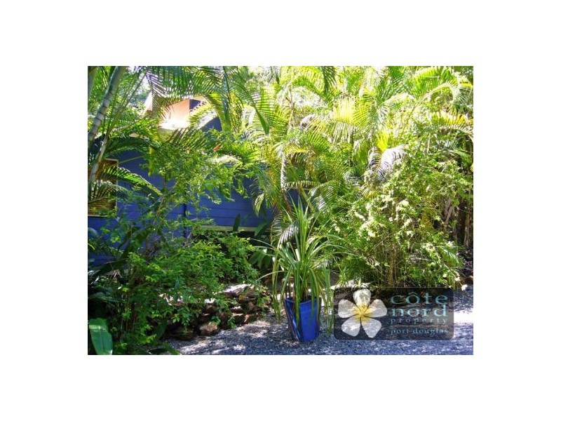 17 Stewart Street, Daintree QLD 4873