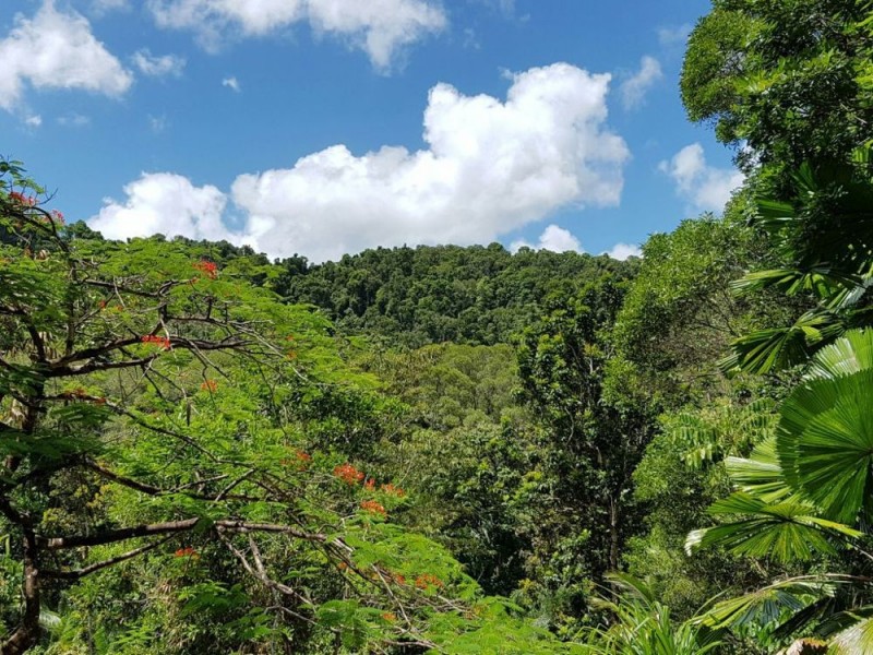 Port Douglas QLD 4877