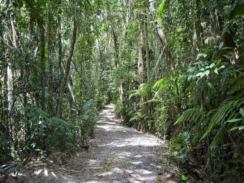 Port Douglas QLD 4877