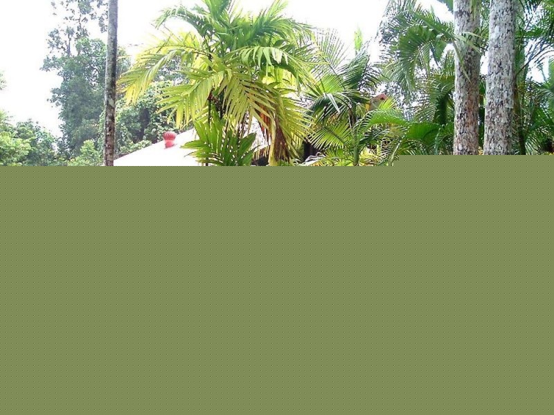 Port Douglas QLD 4877