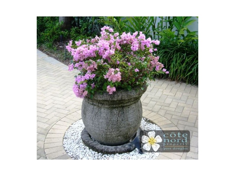 Port Douglas QLD 4877