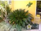 15 Agincourt Street, Port Douglas QLD 4877