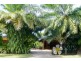 15 Agincourt Street, Port Douglas QLD 4877