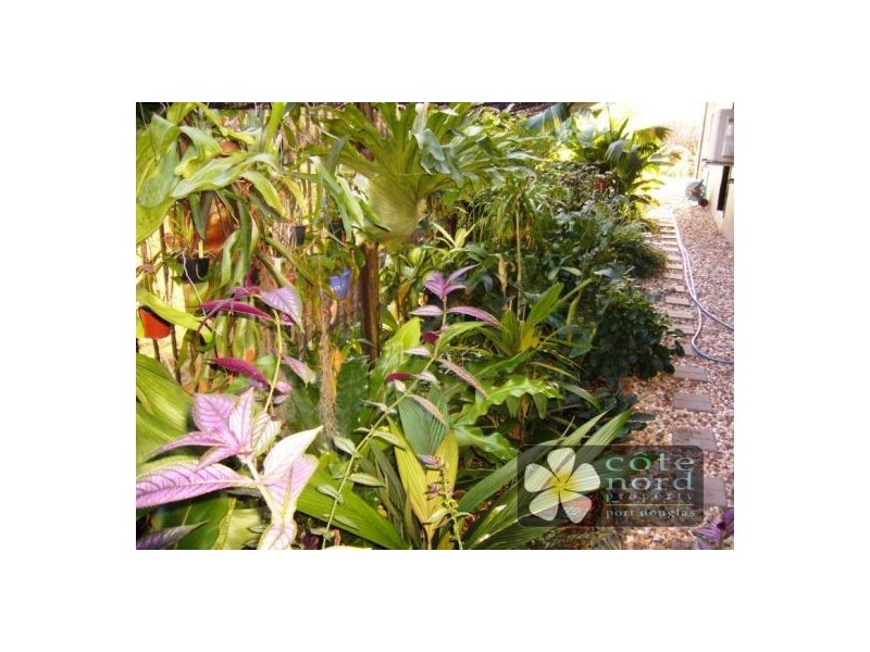 Port Douglas QLD 4877