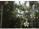 Port Douglas QLD 4877