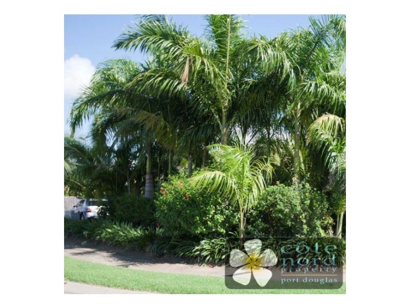 Port Douglas QLD 4877