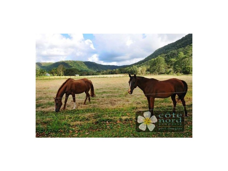 Port Douglas QLD 4877