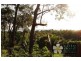 Port Douglas QLD 4877