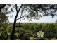 Port Douglas QLD 4877