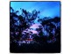 Julatten QLD 4871