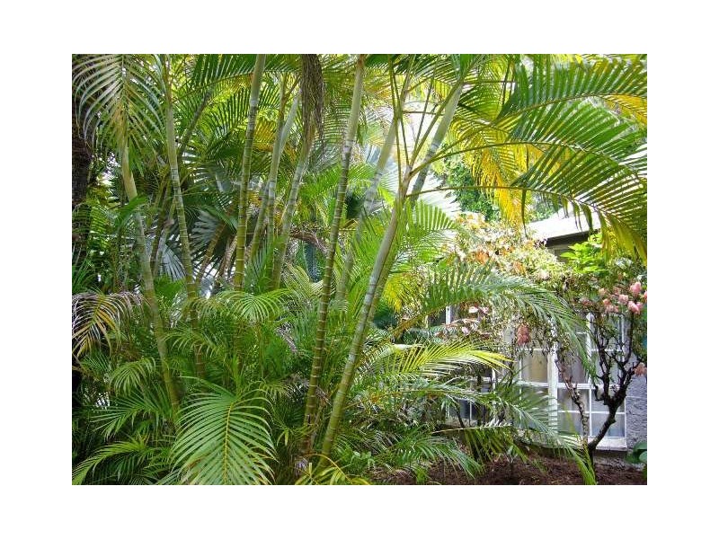 Port Douglas QLD 4877