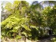 Port Douglas QLD 4877