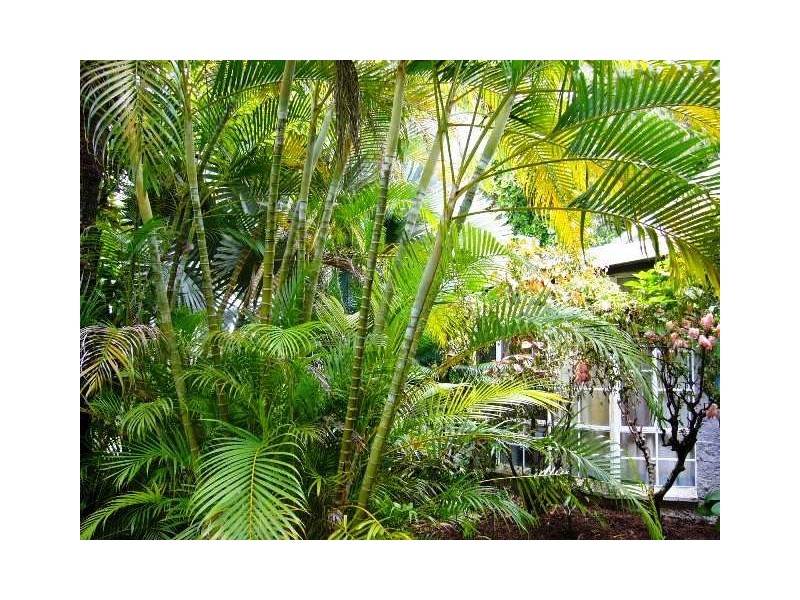 Port Douglas QLD 4877