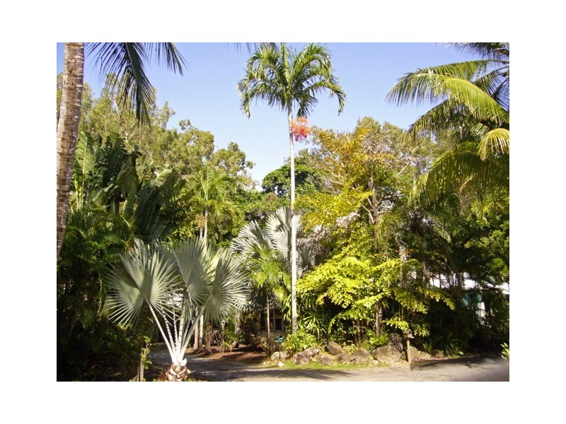 Port Douglas QLD 4877