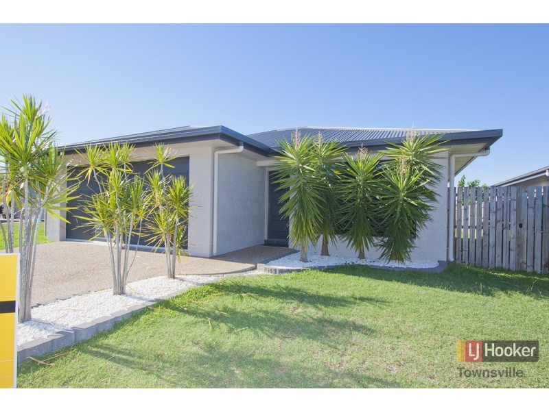12 Redgum Court, Mount Louisa QLD 4814