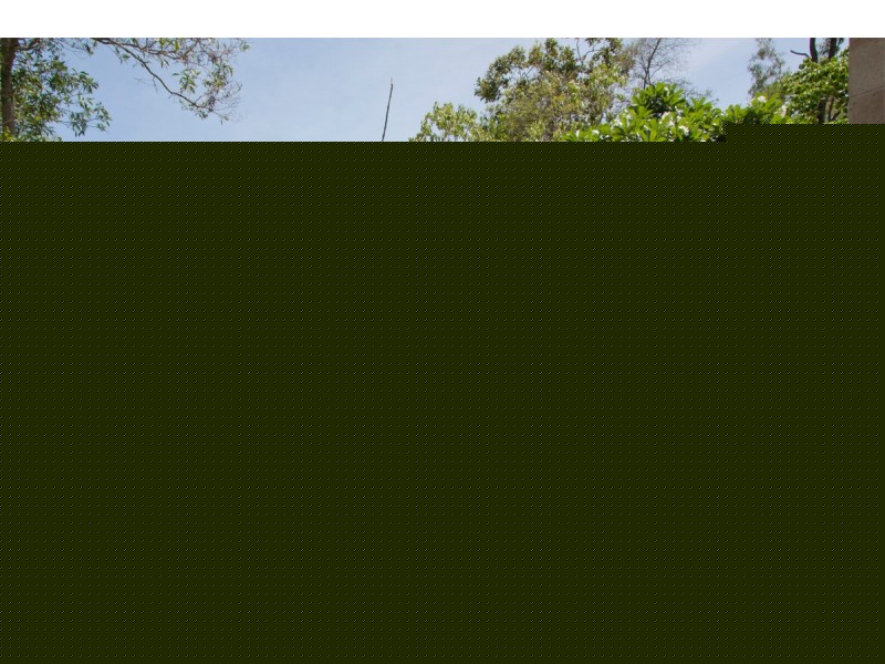 21 Mount Clifton Court, Alligator Creek QLD 4816