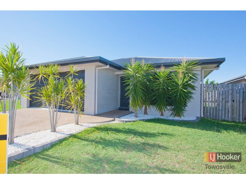 12 Redgum Court, Mount Louisa QLD 4814